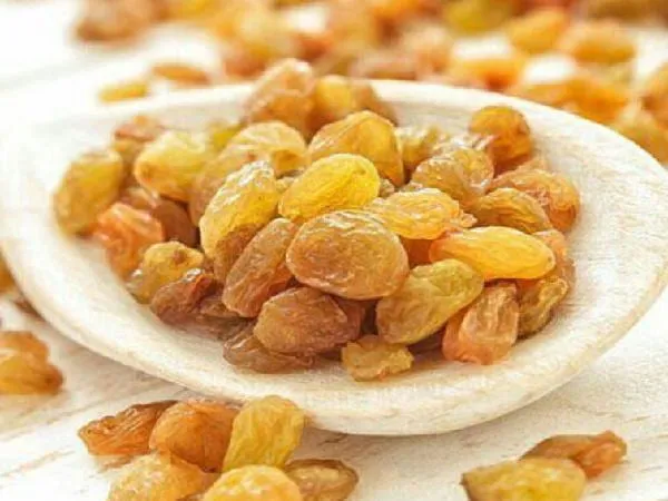 خرید کشمش طلایی صادراتی ملایر + قیمت عالی با کیفیت تضمینی