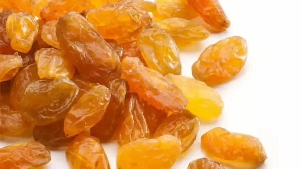 کشمش آفتابی خلیل آباد کاشمر + بهترین قیمت خرید