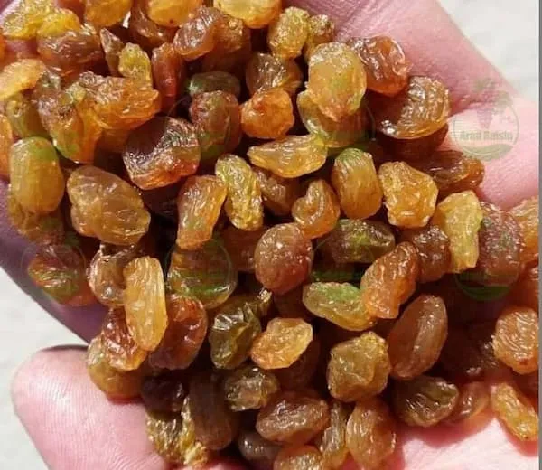 قیمت خرید کشمش زرد صادراتی + راهنمای استفاده